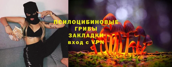 эйфоретик Белокуриха
